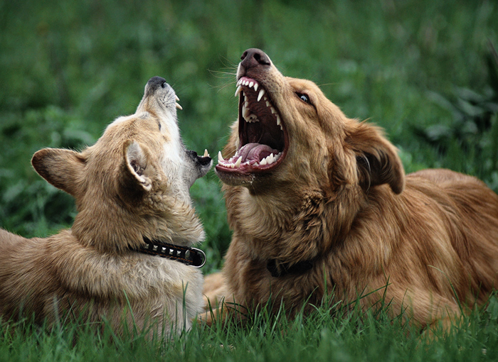 Napilasya ich pyaaaana ...