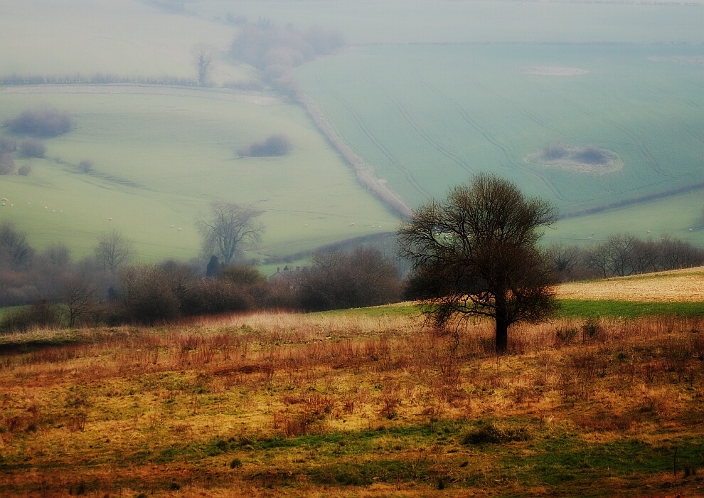 ... und Schafe in der Ferne