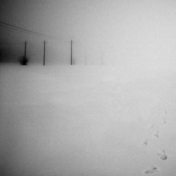 Suchen Sie in einem Schneesturm