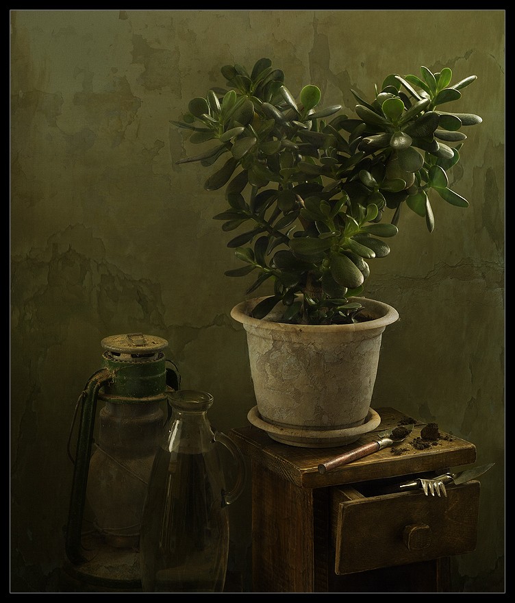 Anti-Krisen-Programm: "Wie, um Geld zu Hause zu fühlen"