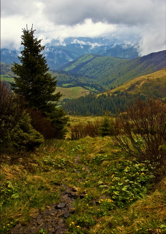 Und wenn der Nebel ..