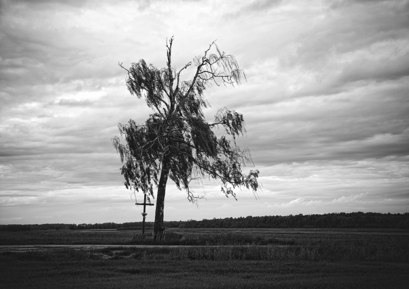 Traurigkeit und Einsamkeit