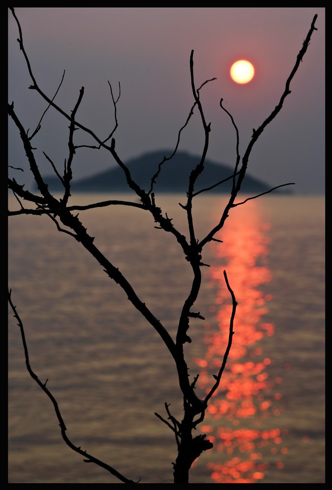 Sithonia in der japanischen