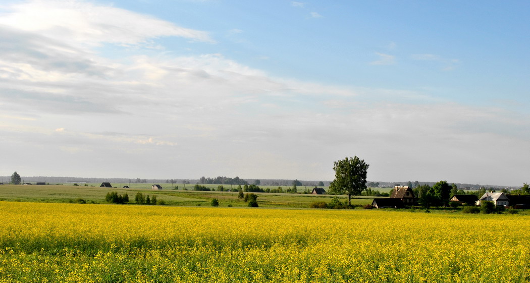 Belarussischen Morgen