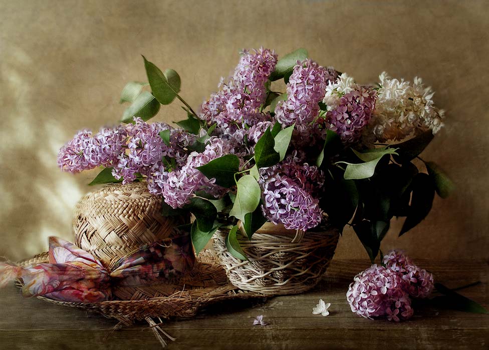 Über einen Strohhut und der Flieder