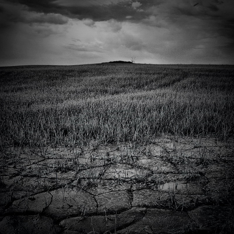 ... .. Unbenannt ...