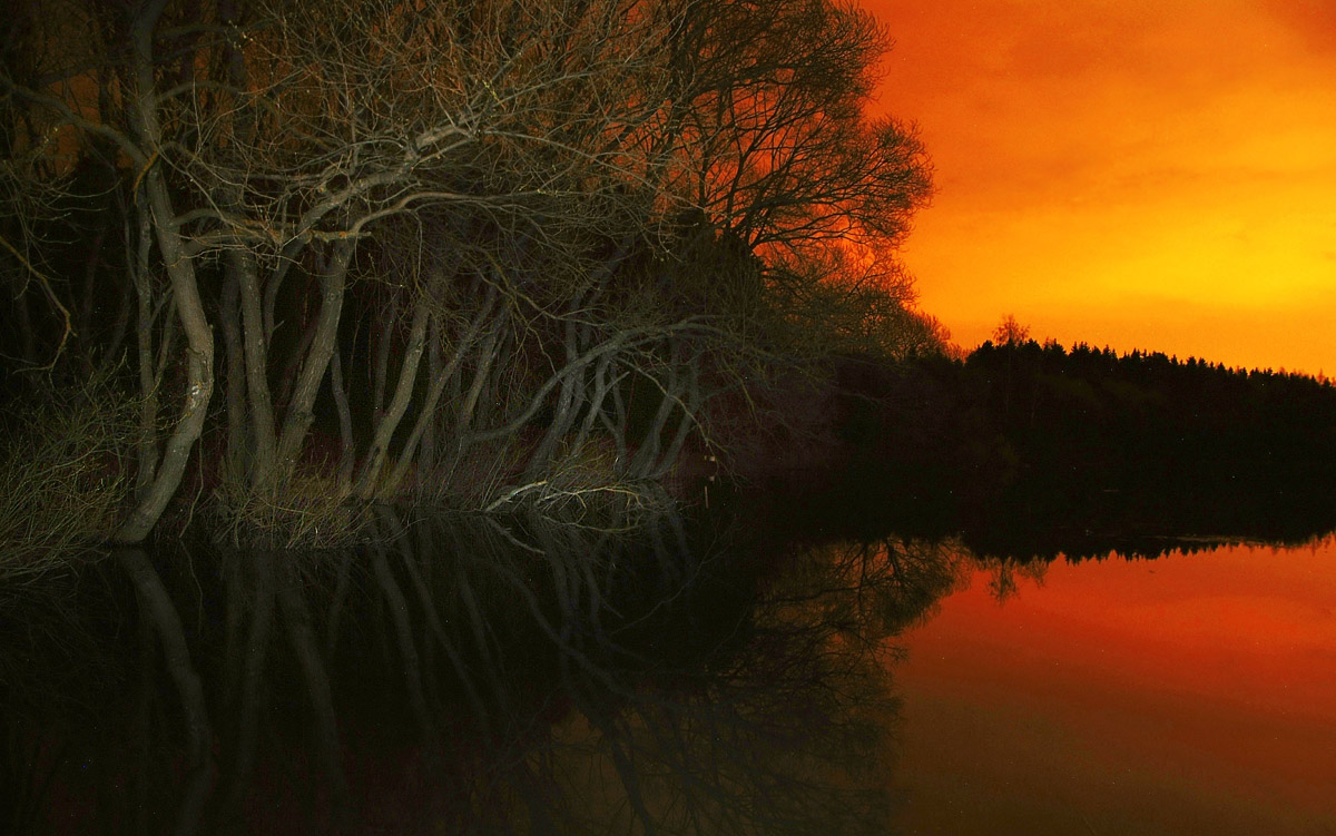 Wächter der Wasseroberfläche