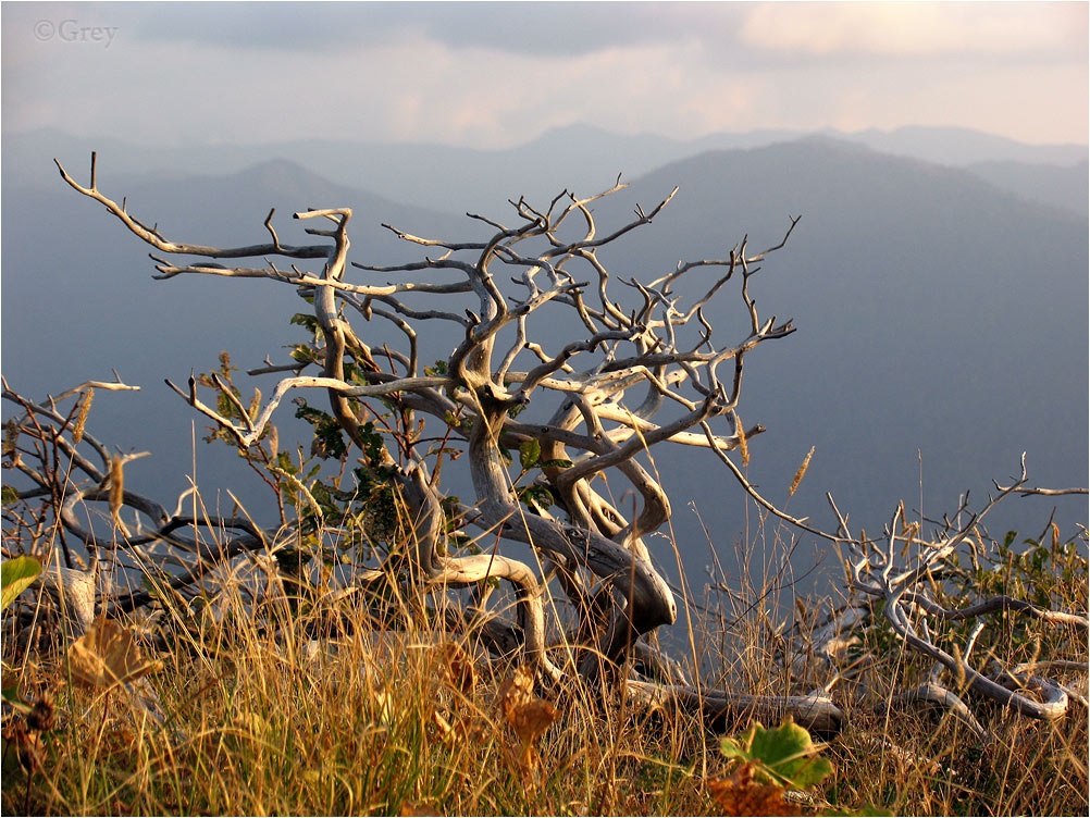 Dancing on the Edge ....