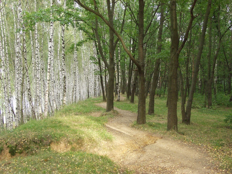 kolorierter Holzstich