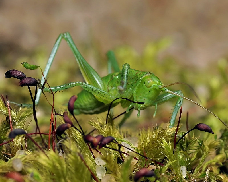 Nun, wer ist verantwortlich ...
