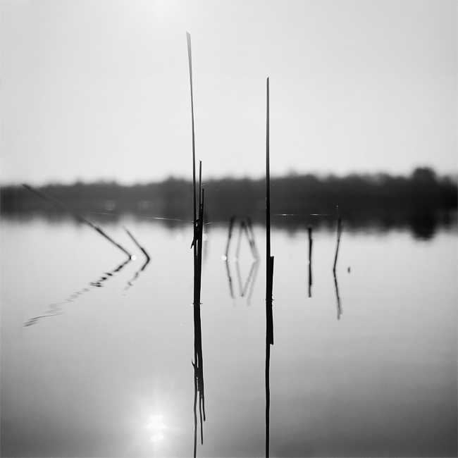 Spiele mit Zero Gravity