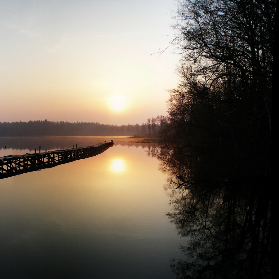 nur die Vögel singen
