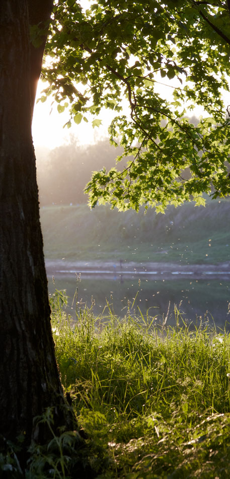 Sommer! Ich würde für dich liebe ...
