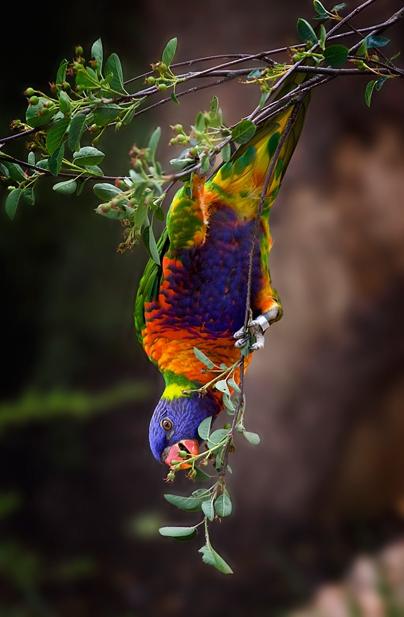 Vorbereitung für Kosmonauten