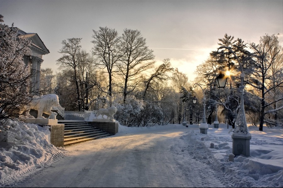 St. Petersburg Lions