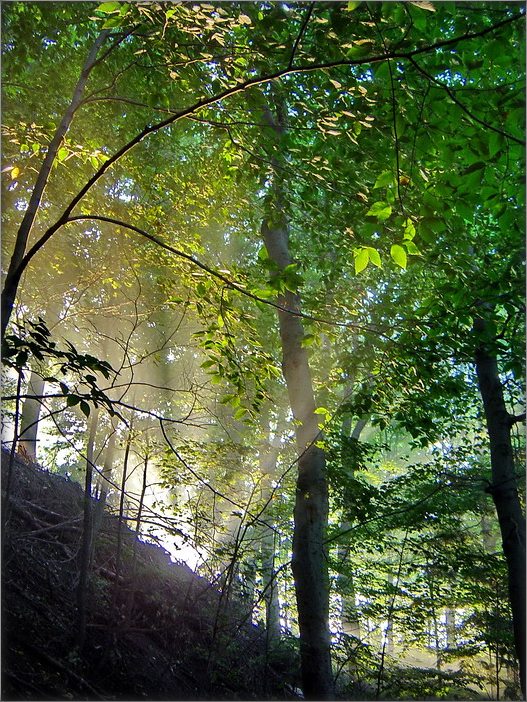 am frühen Morgen in der Kathedrale ... 2