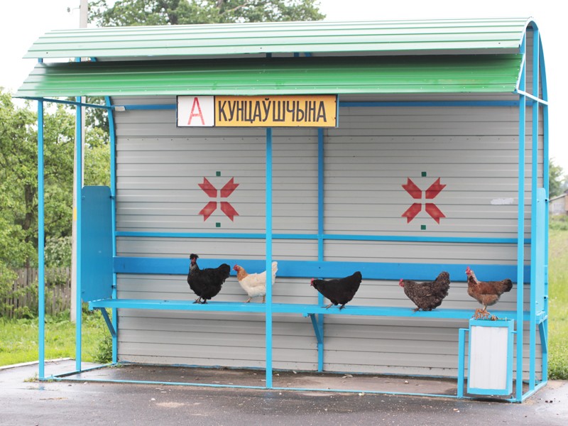 Warten auf den Bus ...