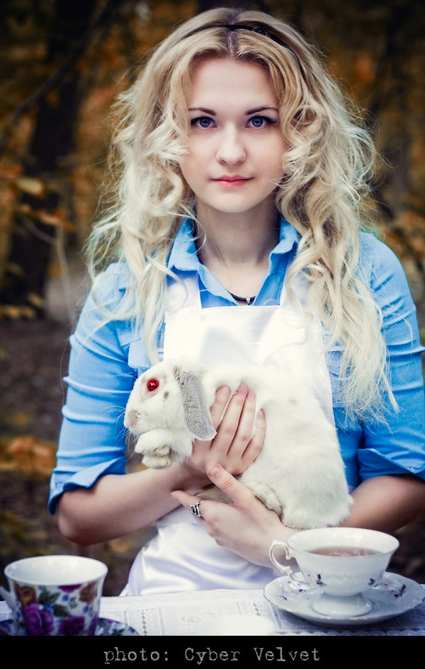 Alice and the White Rabbit
