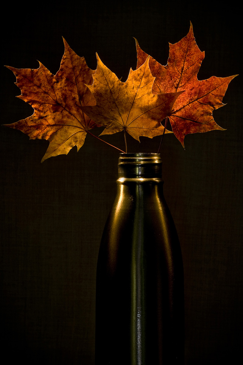 Die Sehnsucht nach dem Fall