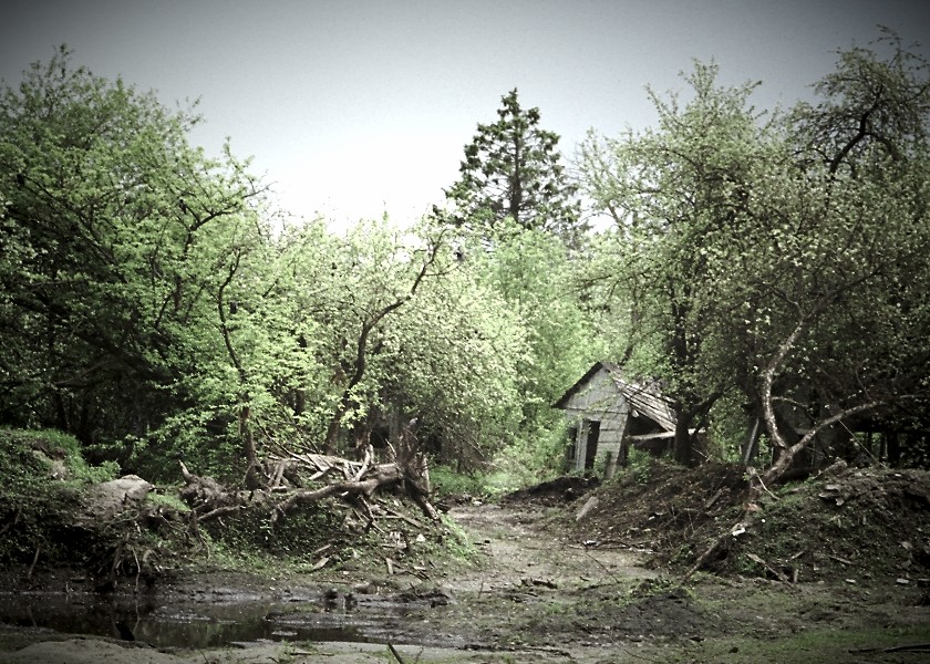 Es waren einmal blühenden Gärten