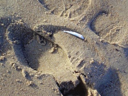 Und doch gestern hier war ein Meer