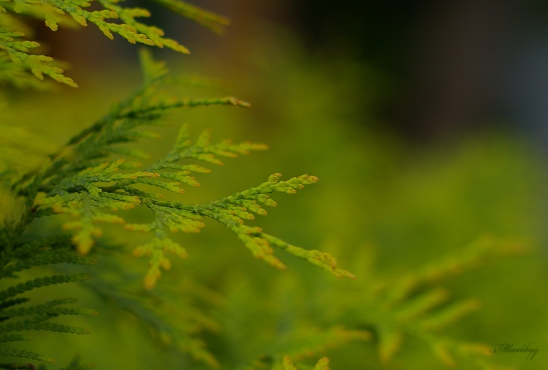 geschmiedete Rüstung ...