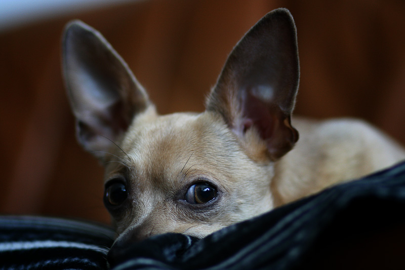 Ich hatte keinen Kontakt mit den Schuhen ...