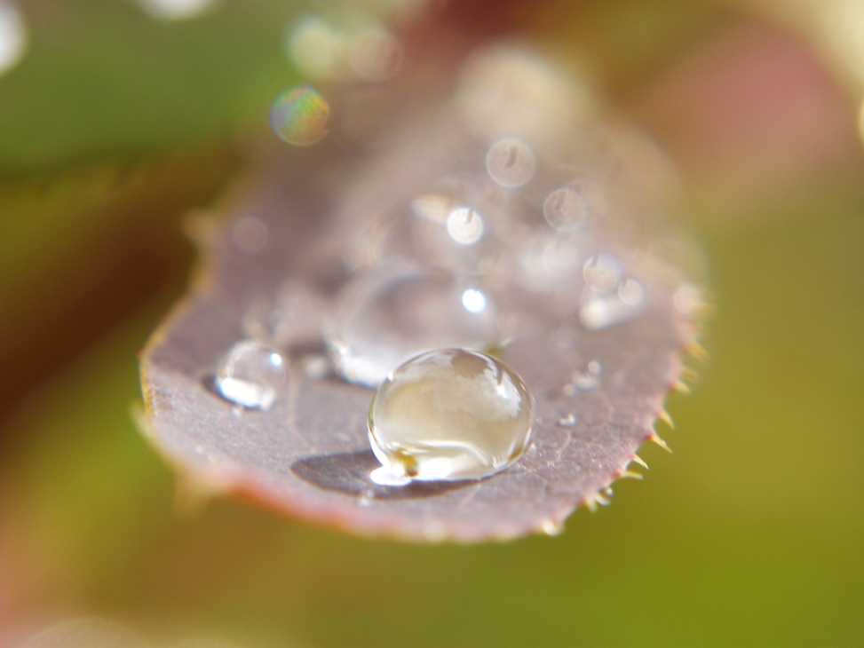 Zärtlichkeit in den Morgen