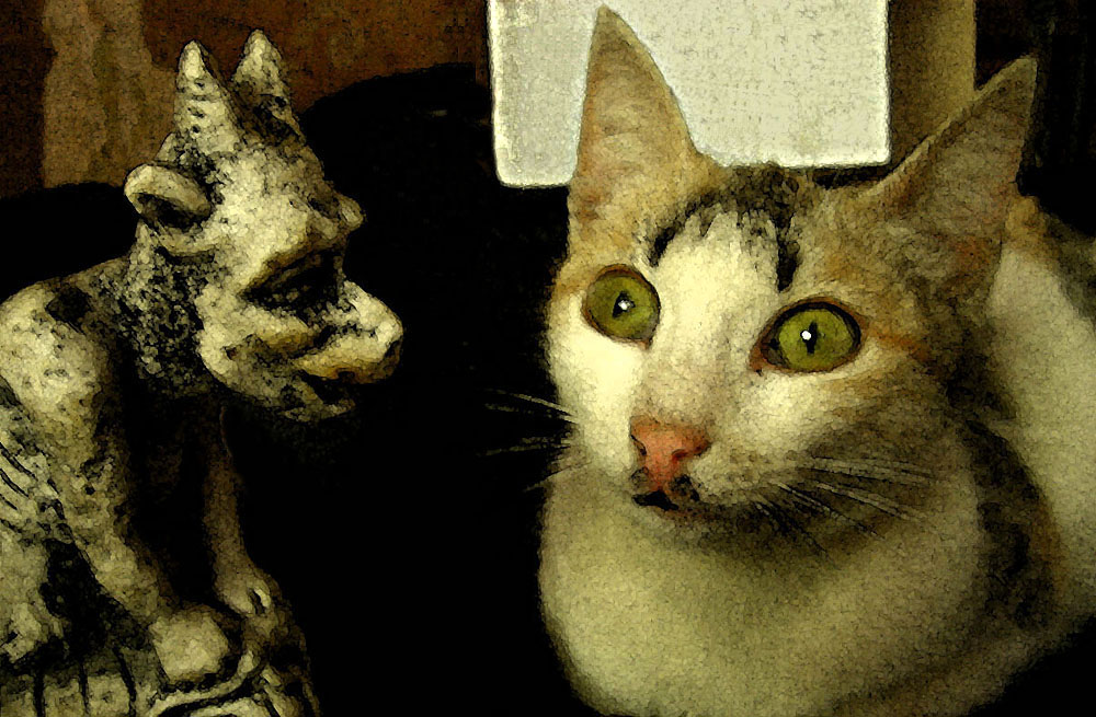 Wenn Jugend wusste ...