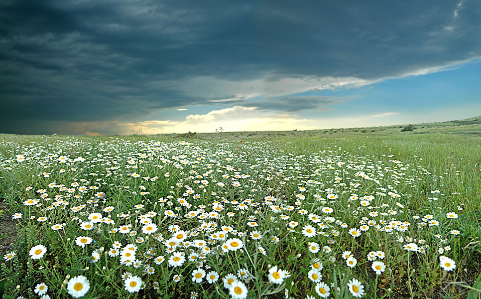 "... Ich liebe das Feld lag ..."*