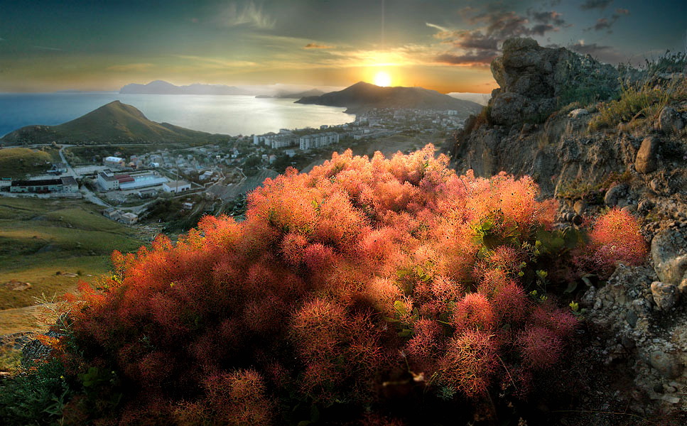 hier Sumach zündete ein Feuer Blume ...