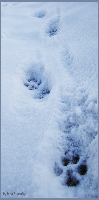Fußspuren im Schnee