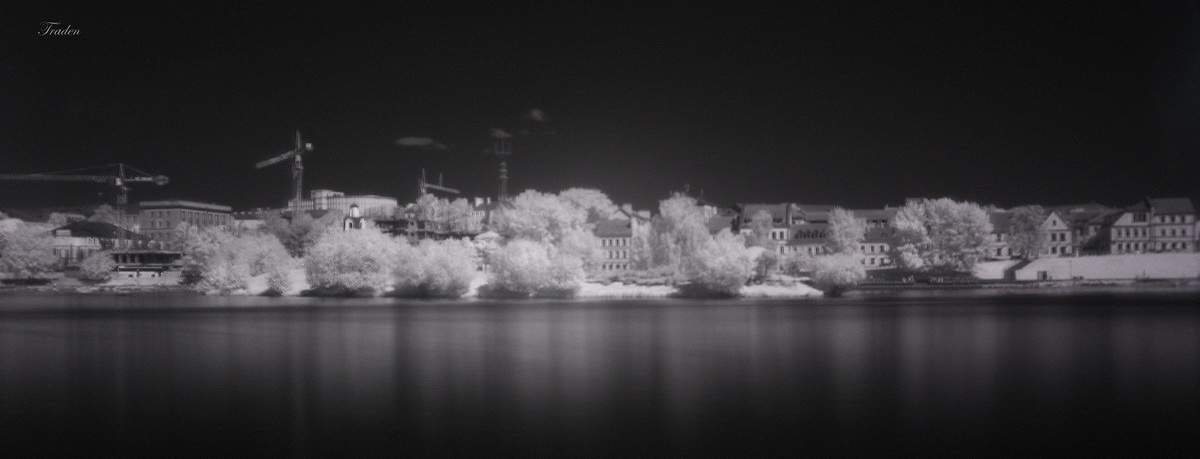 Wrong Side of the World