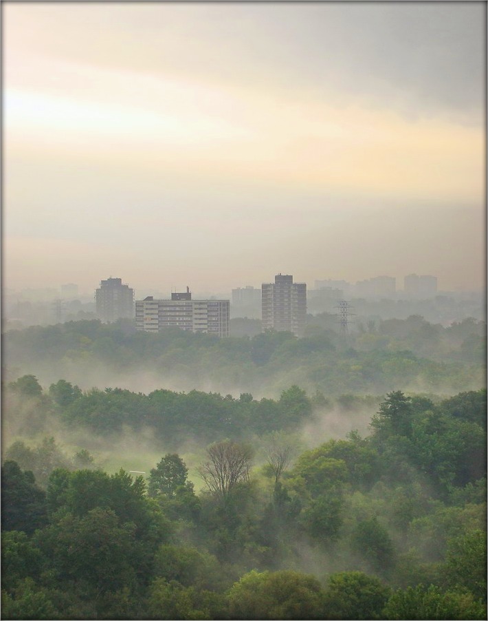 ... Diese Sommerregen ...