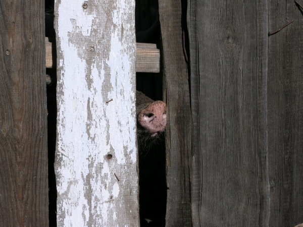 Ein Th machst du hier? ...