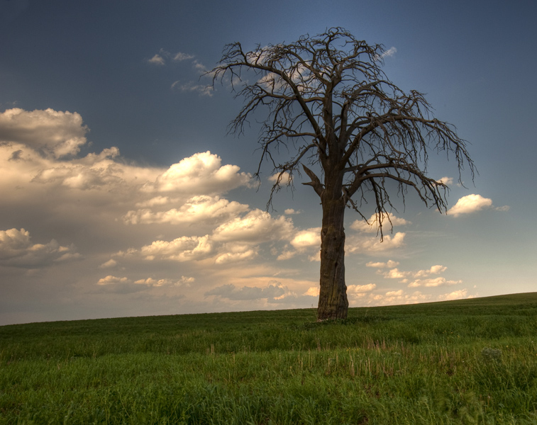 Stummer Zeuge der Antike