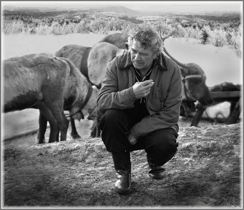 Wenn ein Schwarm von Gedanken