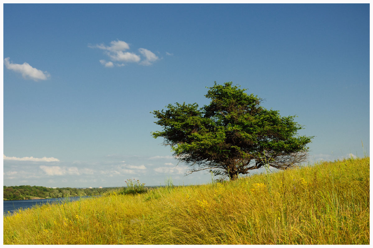 Ein heißer Tag im Juni