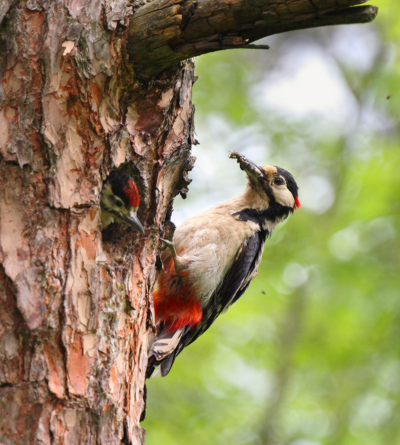 all the best - to children!