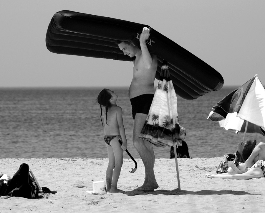 Rolling es ist eine große Schildkröte!