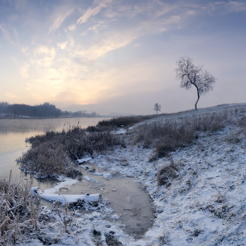 Zu Beginn des Winters