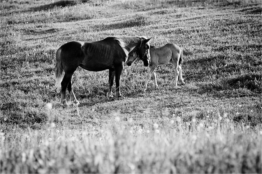 Zuverlässiger Schutz 2