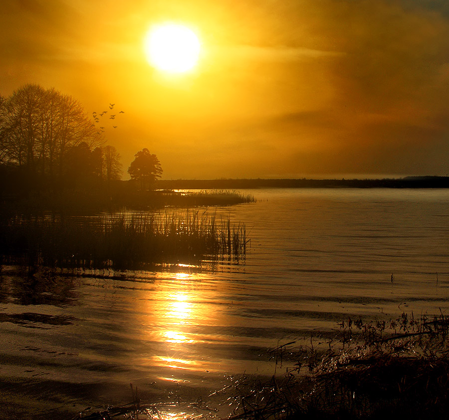 NEXT STOP - Nacht ...