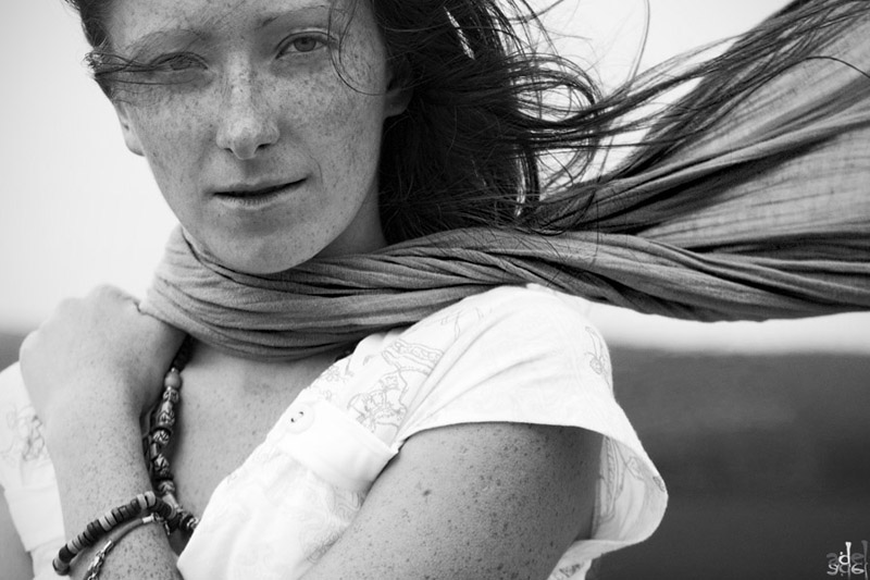 Die Worte der Wind weht ...