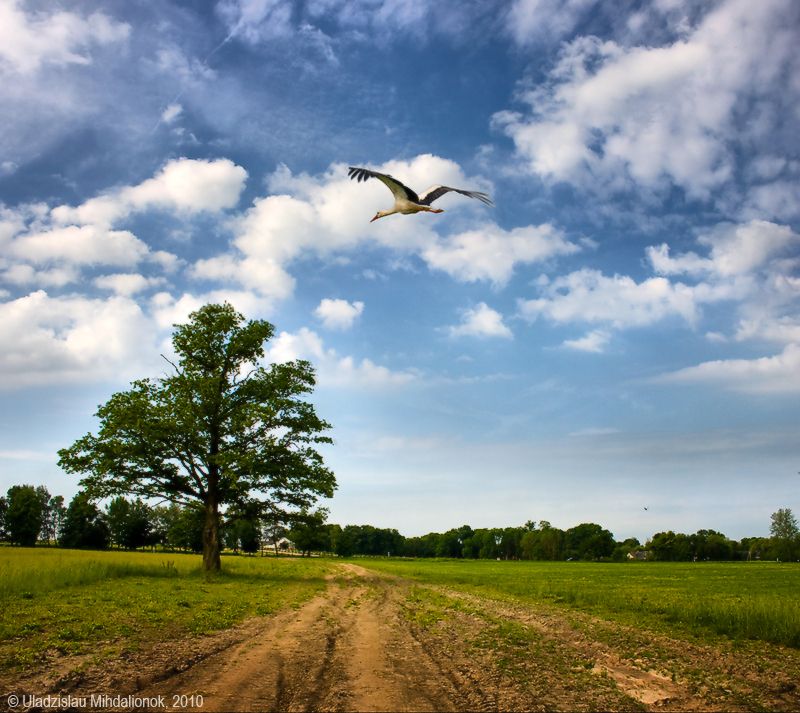 Er fliegt und fliegt ...