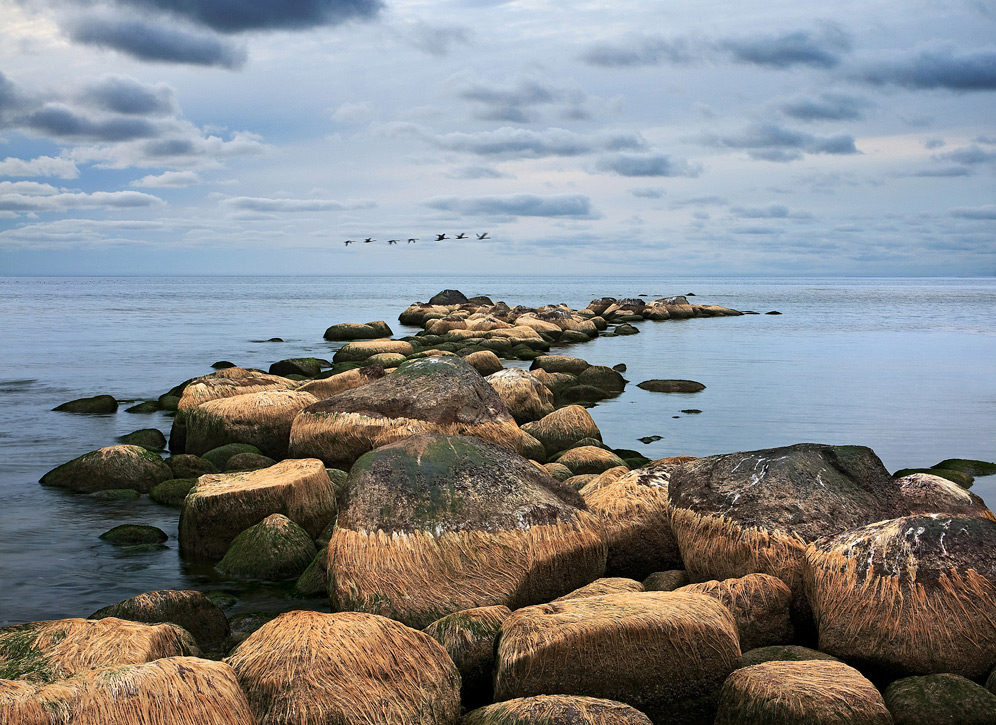 Über Bearded Steine.