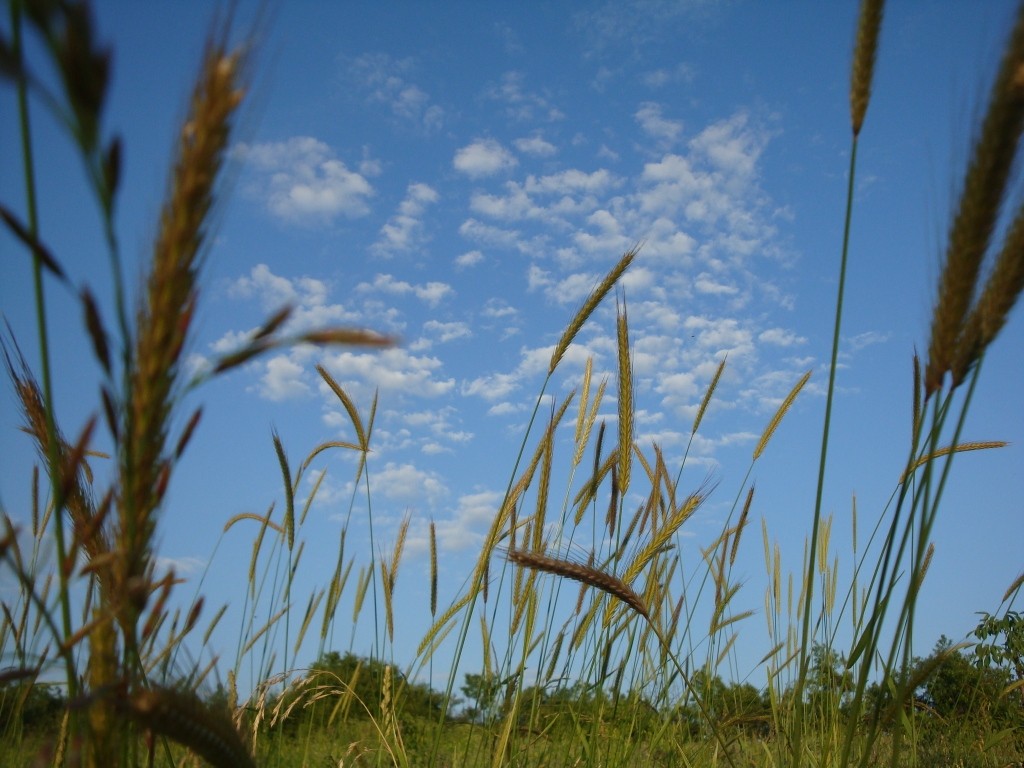 Das Phänomen der Wolke