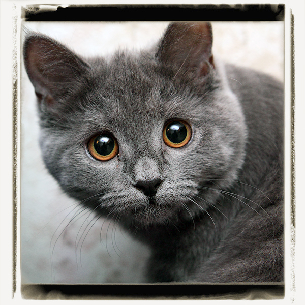 Wer sind Sie? Was wollen Sie? Ich kenne Sie nicht!