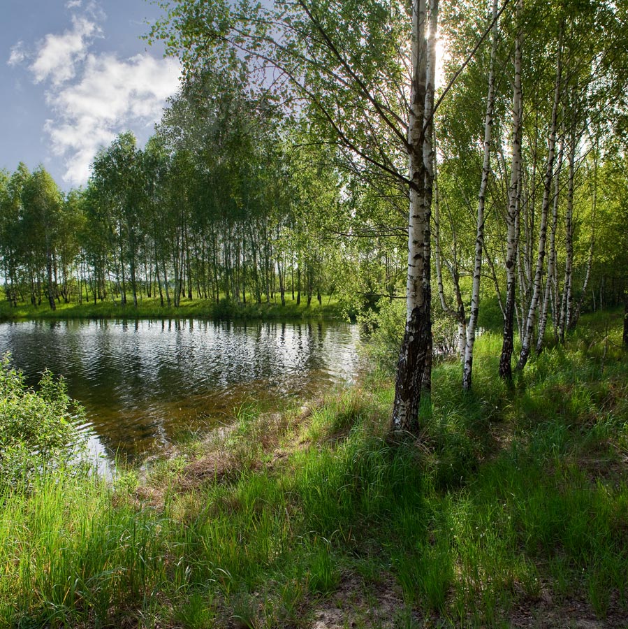 INSEL DER JUNGEN SOMMER