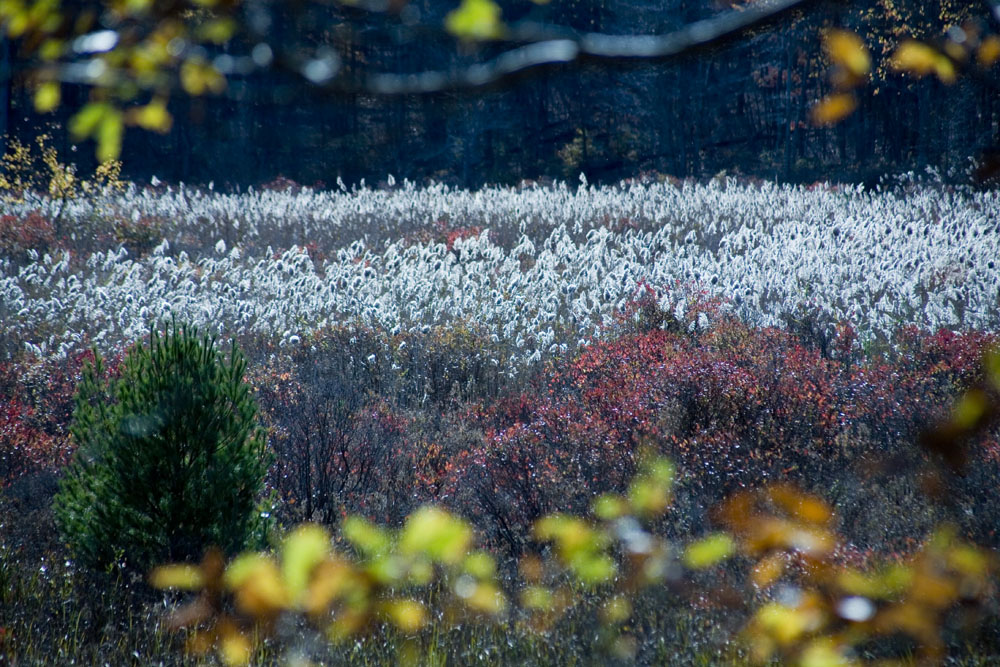Herbst in der High Point State Park